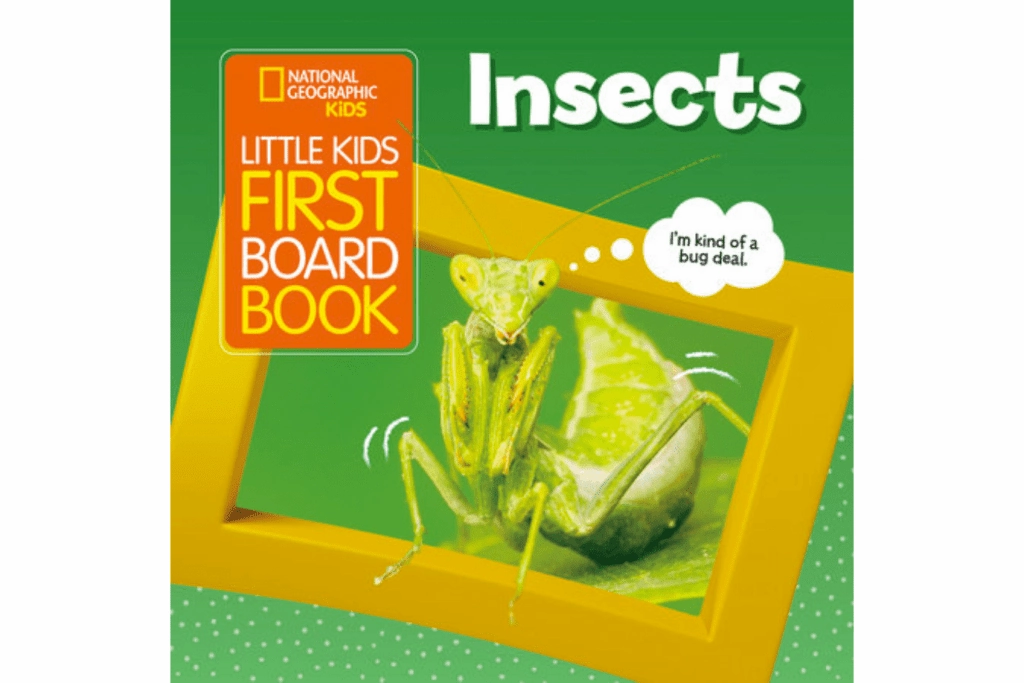 Nirvana Touch National Geographic's Little Kids First Board Book: Insects