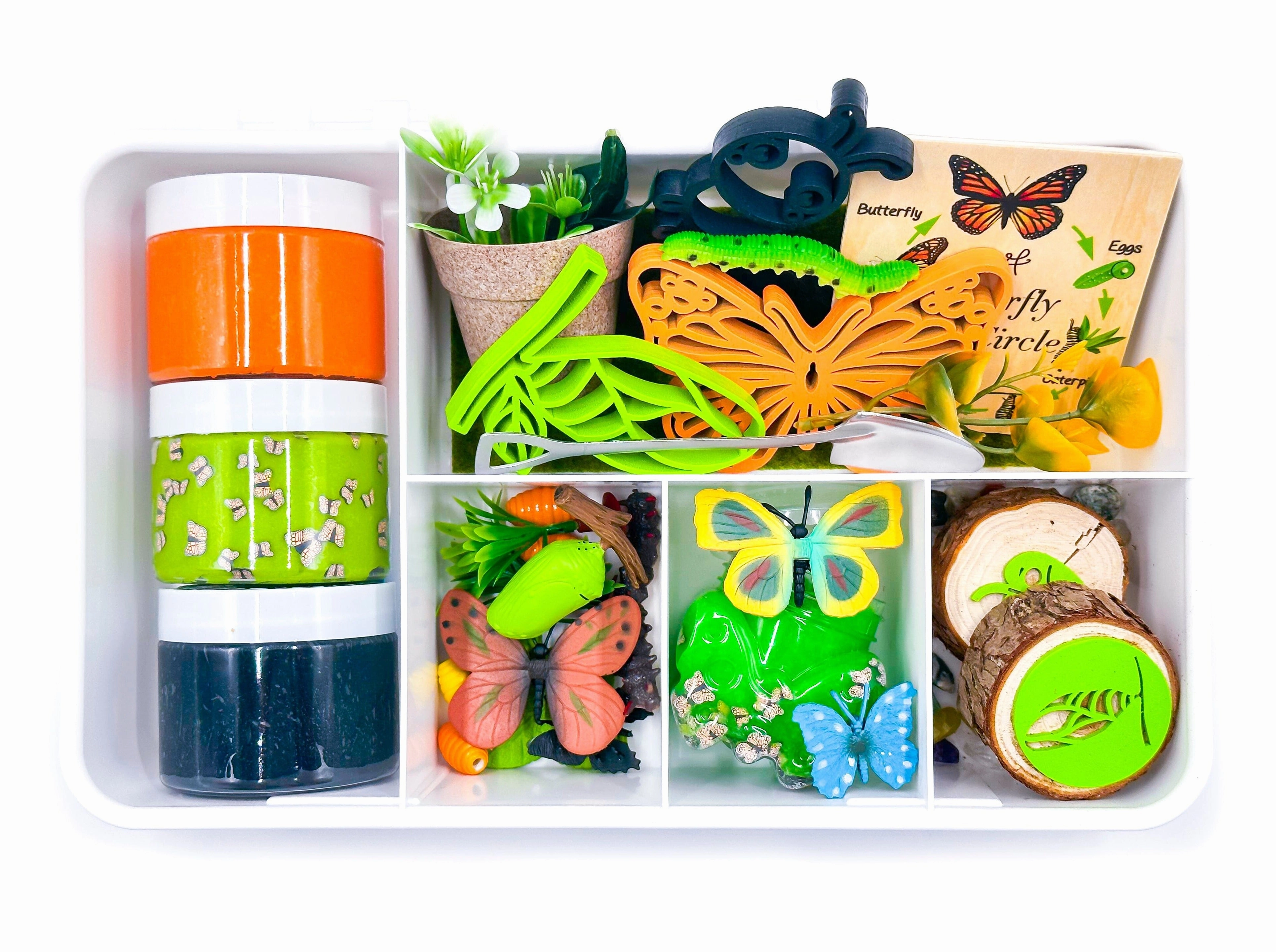 Imaginative Determination Butterfly Life Cycle Sensory Kit Variable Definition Visual Effect