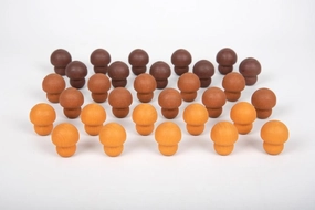 Wooden Treasures Mushrooms Pk30 74043 Push Walker STEM Education