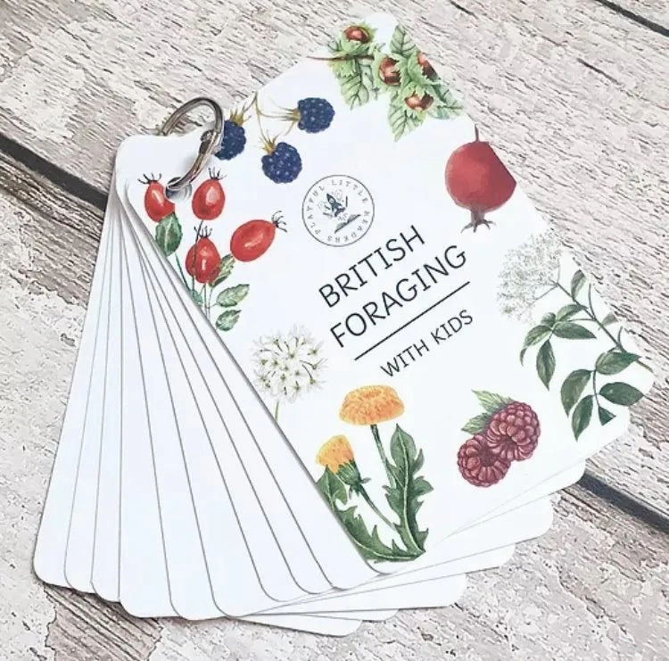 Game Creation Playful Little Readers British Foraging flashcards