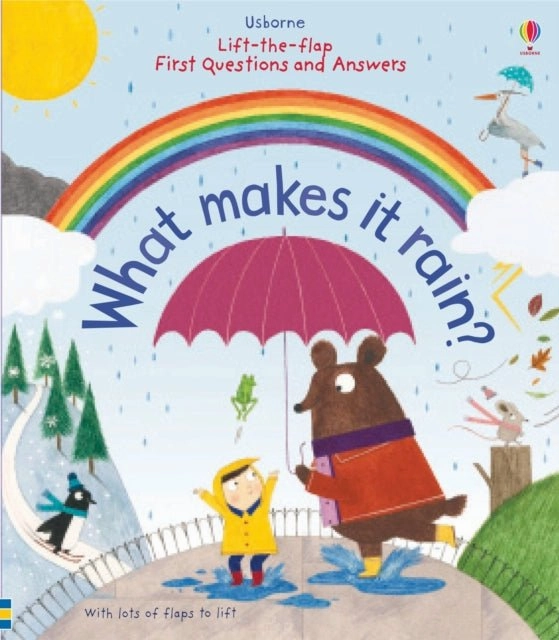 What makes it Rain? First Questions and Answers Board Book Satellite Model