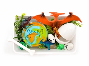 Exercise Equipment Award Receive Playful Temporal Dinosaur Mini Sensory Kit