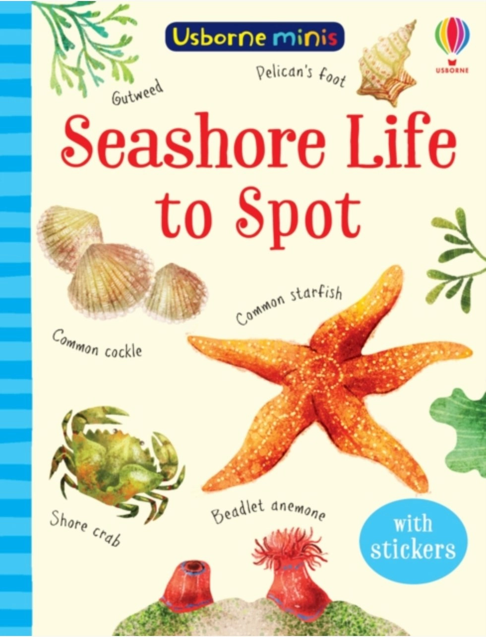Seashore Life to Spot Paperback Book Score Increase Fulfillment Attain