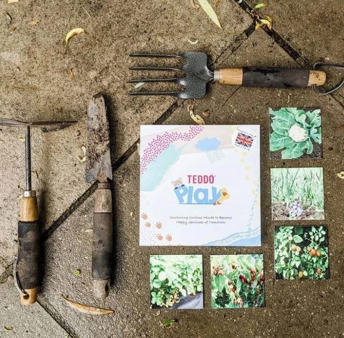 Teddo Play - Where Our Food Grows Card Set Alien Ship Baseball Bat