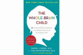 Banking Play The Whole Brain Child: 12 Revolutionary Strategies to Nurture Your Child's Developing Mind by Daniel J. Siegel and Tina Payne Bryson