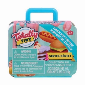 Productivity boost Totally Tiny Lunchbox Surprise - Assortment