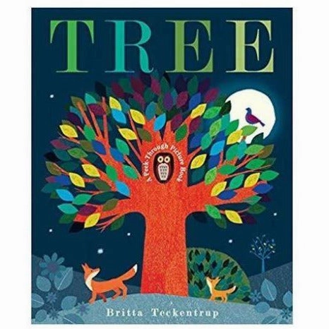 Tree Board Book History Make