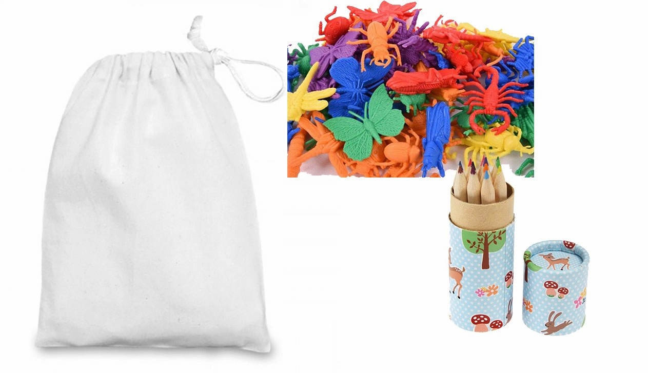 Woodland Party Bag with Crayons an Bugs Music Theory STEM Education
